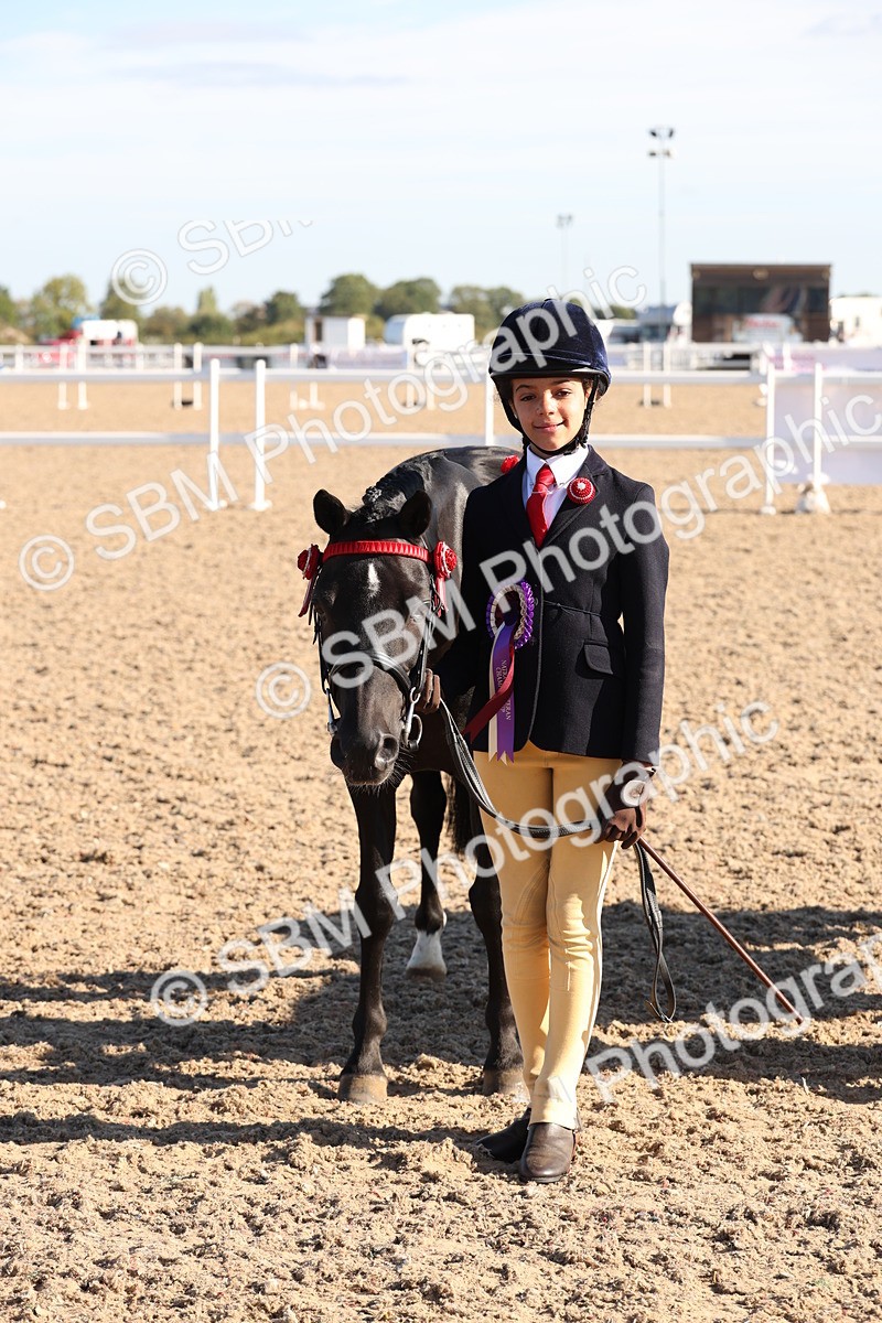 SBM_11700 - Class 203 - Young Handler 11 to 16 years