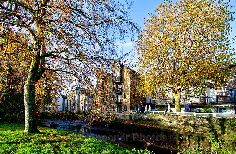 Autumn Totnes - Devon Misc