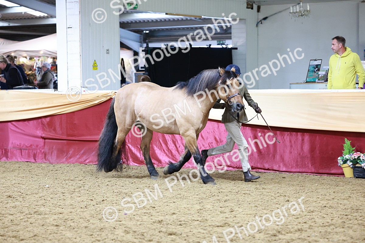 SBM_20004 - Class B - Junior Champ 11yr to 16 Years