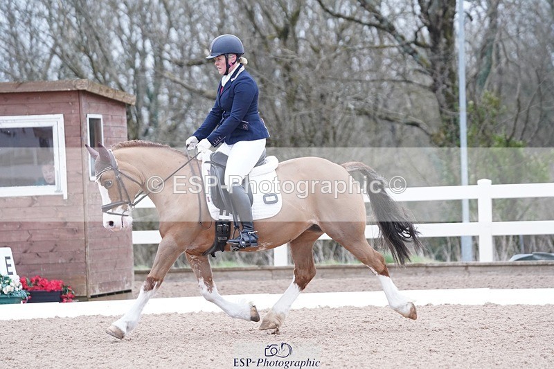 250214-094556-00067 - 167-Willow.Tarrant.Clark-Ashgrove.Wendi