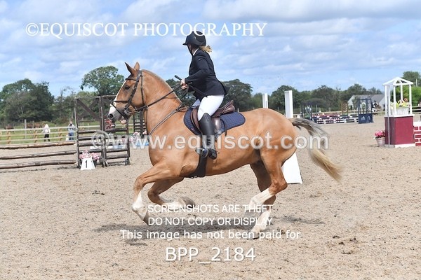 BPP_2184 - DERBY CLASS 6 - 70CM