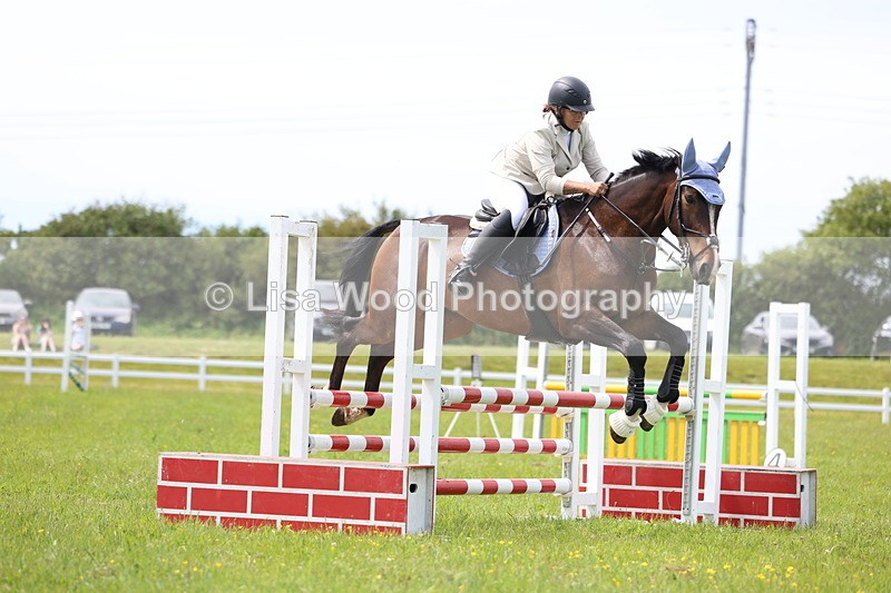 3E7A1447 - Class 13: Senior British Novice/90cm open