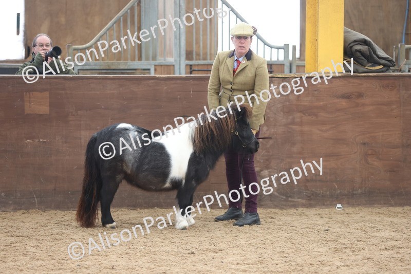 20251109-0229 - Class 11 - 2 and 3 Year Old