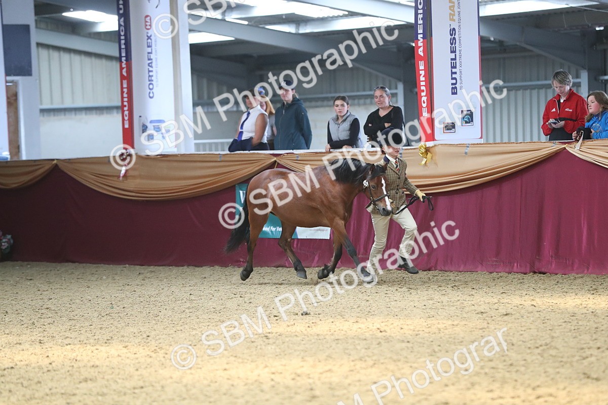 SBM_15302 - Class 501 M&M IH Supreme Final