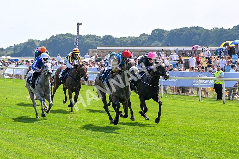 100726-Race 2-Flora Of Bermuda-9655 - Race 2 14.45pm William Hill Summer Stakes