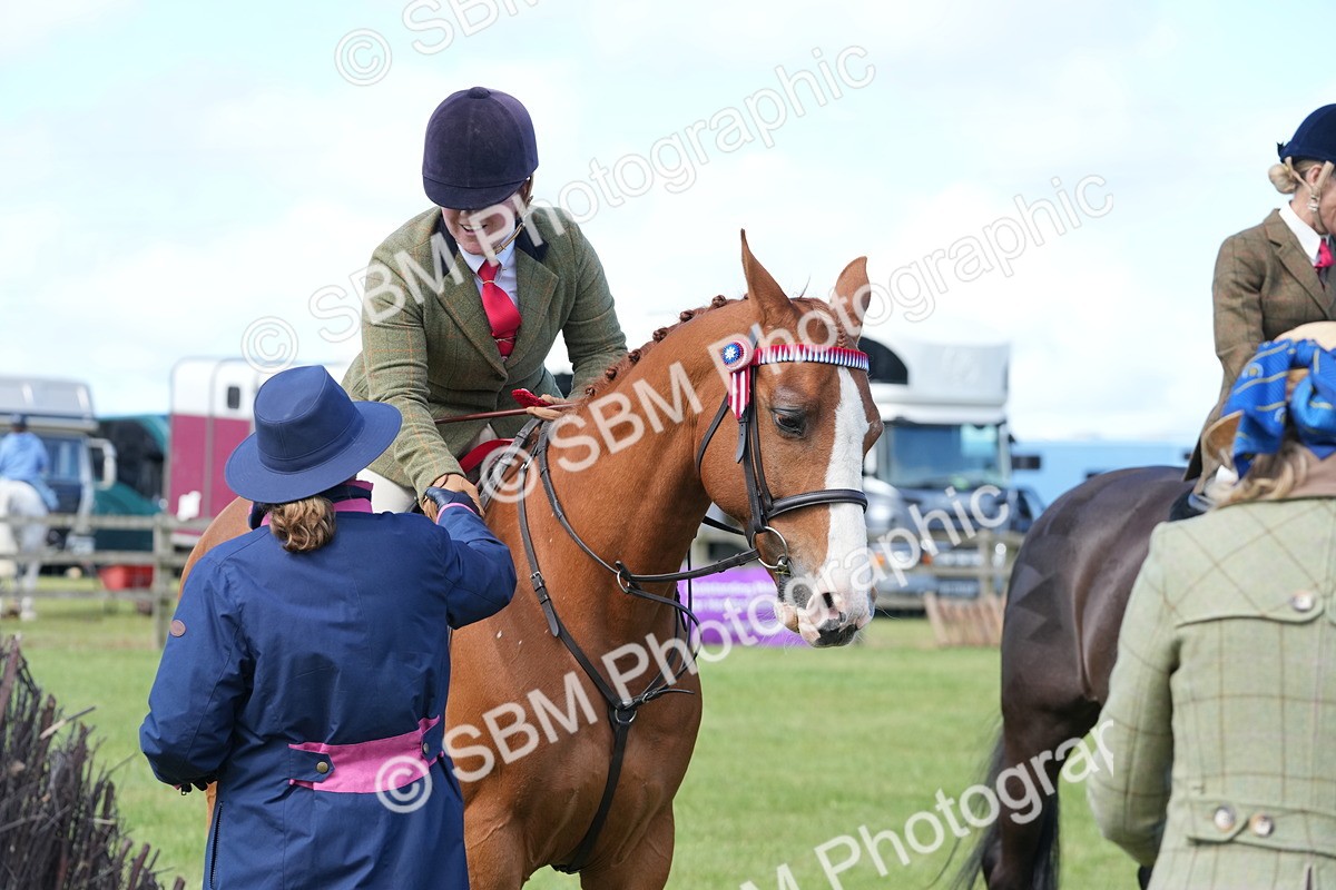 SBM_12966 - Class 99 - RIHS SEIB Working Show Horse