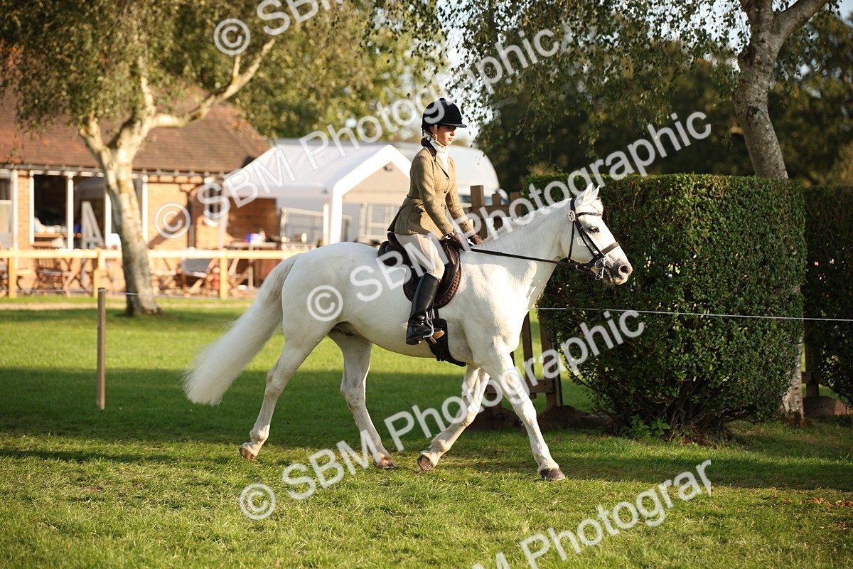 SBM_54382 - S27 - Mature Veteran - Ridden