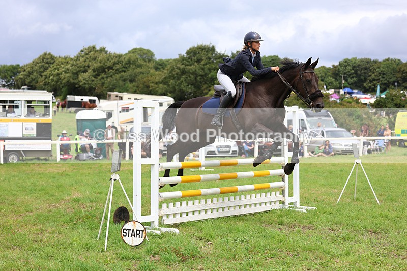 3E7A7359 - Class 5: Senior British Novice/90cm open