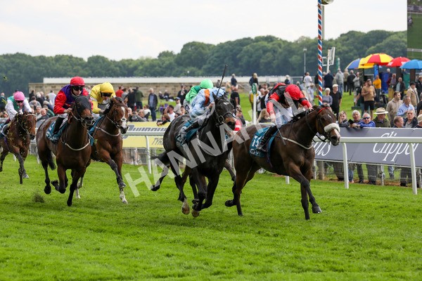 150524-Race 5-Diligent Resdev-1548 - Race 5 4.15pm Conundrum HR Consulting Handicap
