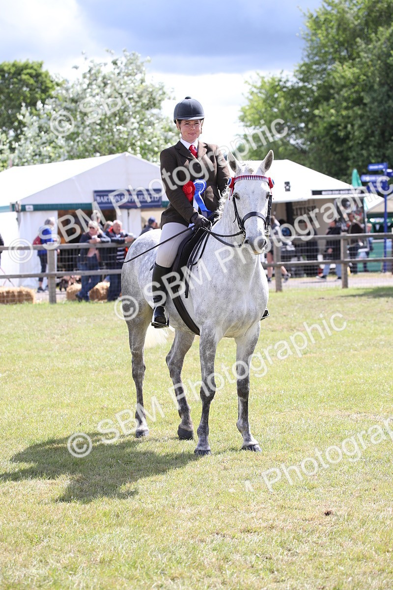 SBM_13340 - Class 95-96 - LIHS BSHA Rising Star Hack Riding Horse