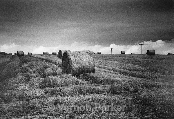  - Traditional Black & White