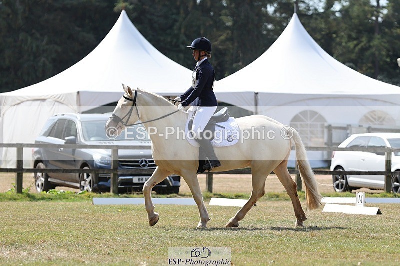 250823A-122600-29781 - Arena C