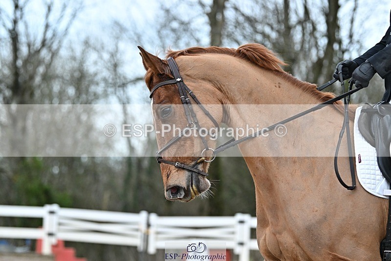 250125-142729-00842 - Dressage - CT Class 7 BE Novice 112