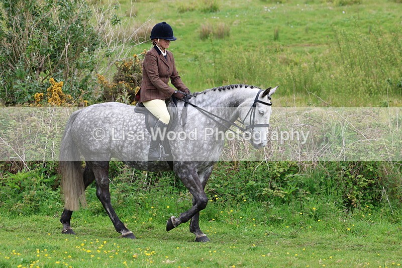 3E7A1660 - Class 9: Riding Club Horse/Pony