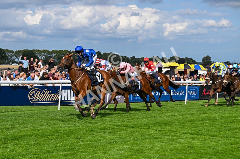 300826-Race 4-Financer-0547 - Race 4 3.20pm Ward Homes Yorkshire Handicap