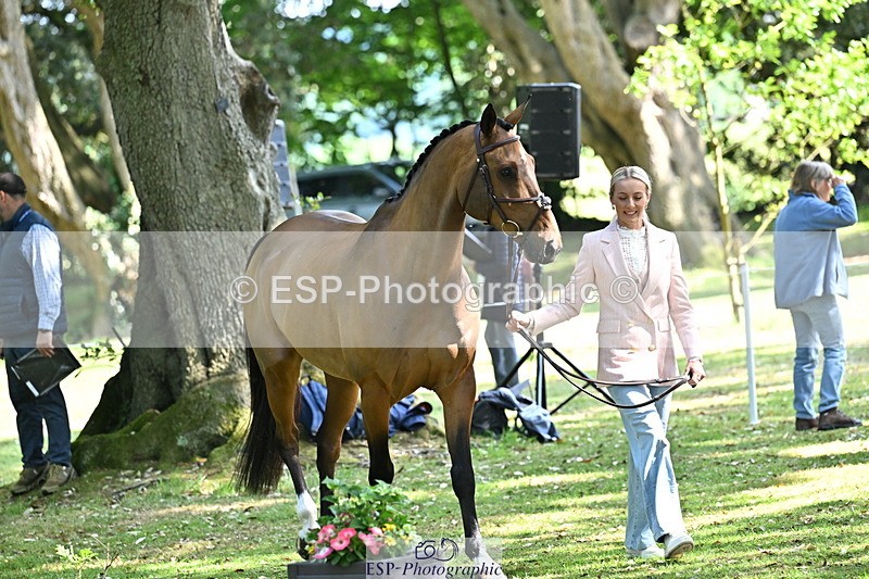 250521A-154558-00743 - B-364-Yasmin.Ingham-KINDA.CORVETTE