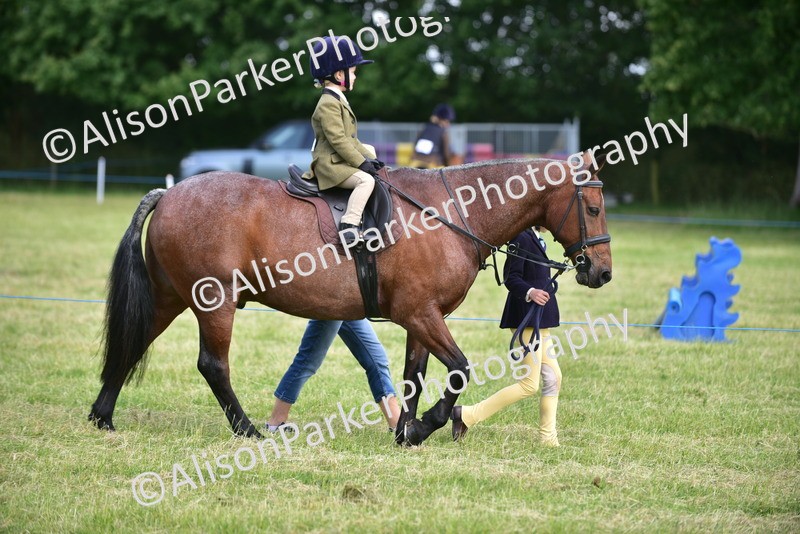 20260614-0401 - Class 10 - Best Turned Out