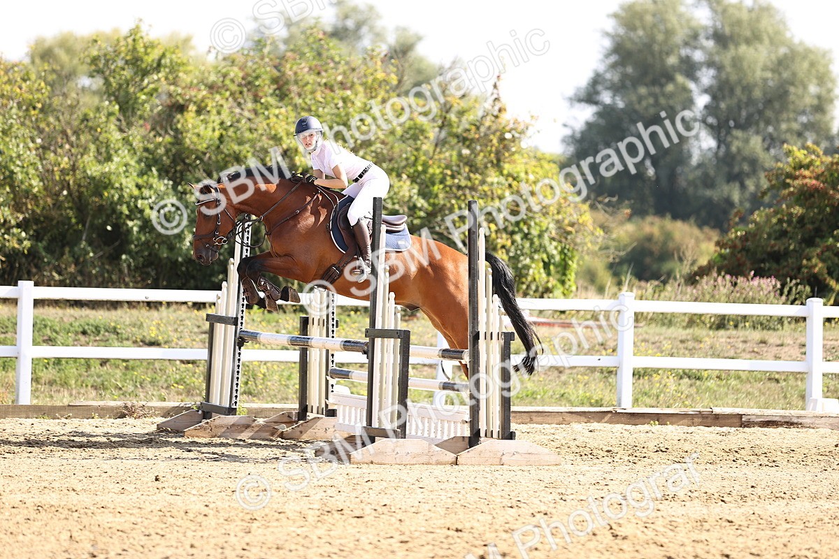 SBM_005626 - Class 9 - Senior British Novice - 90cm