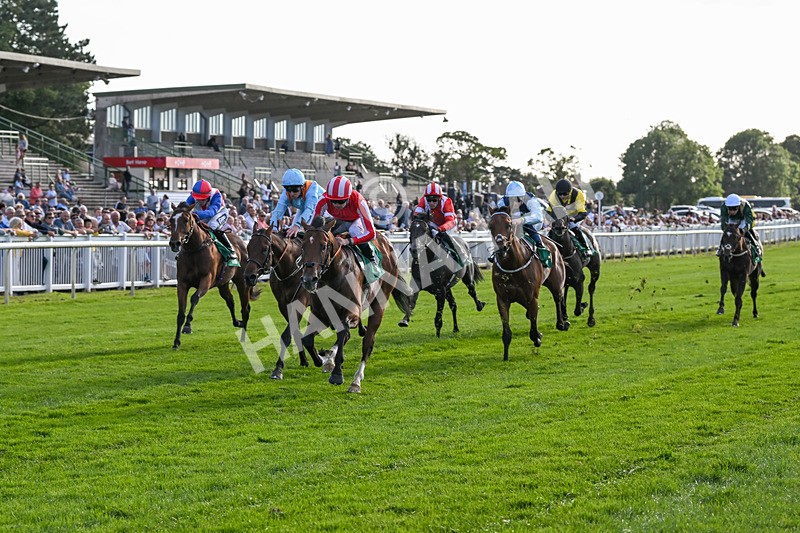 160824-Race 3-Force And Valour-9069 - Race 3