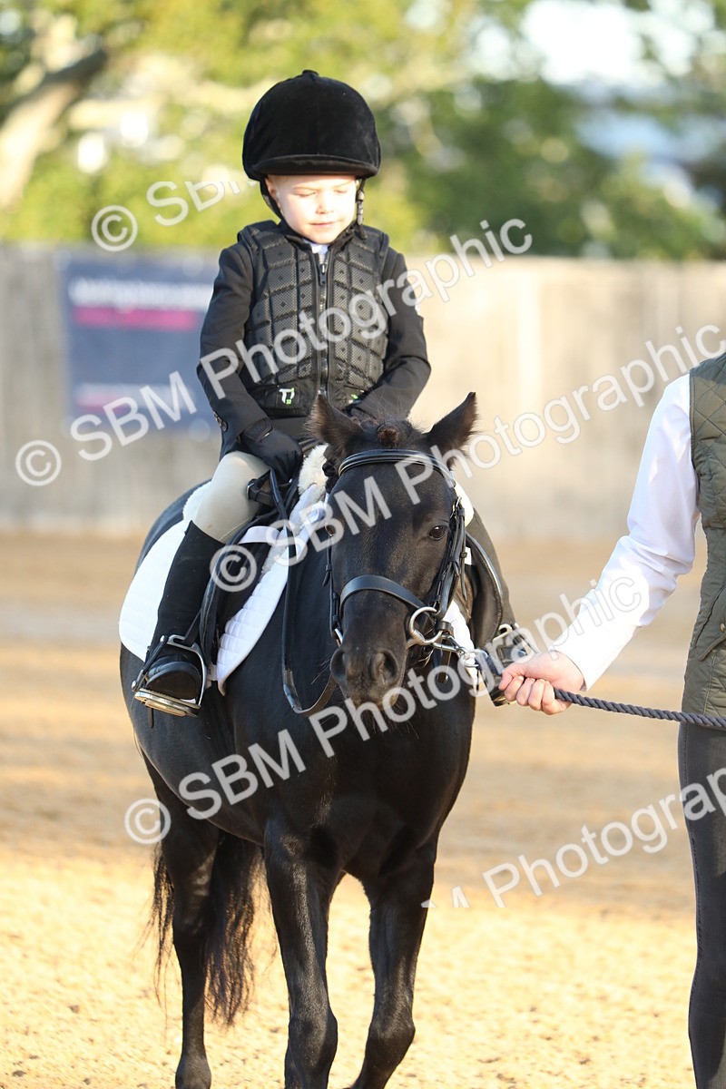 SBM_33572 - D26 - Starers - Lead Rein