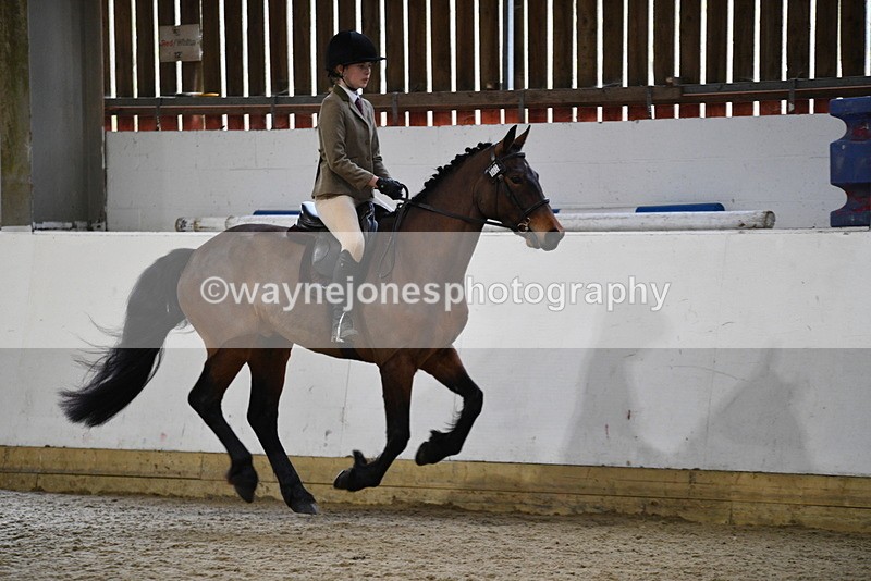 WJ5_7242 - Class 11 Ridden PC - RC Pony