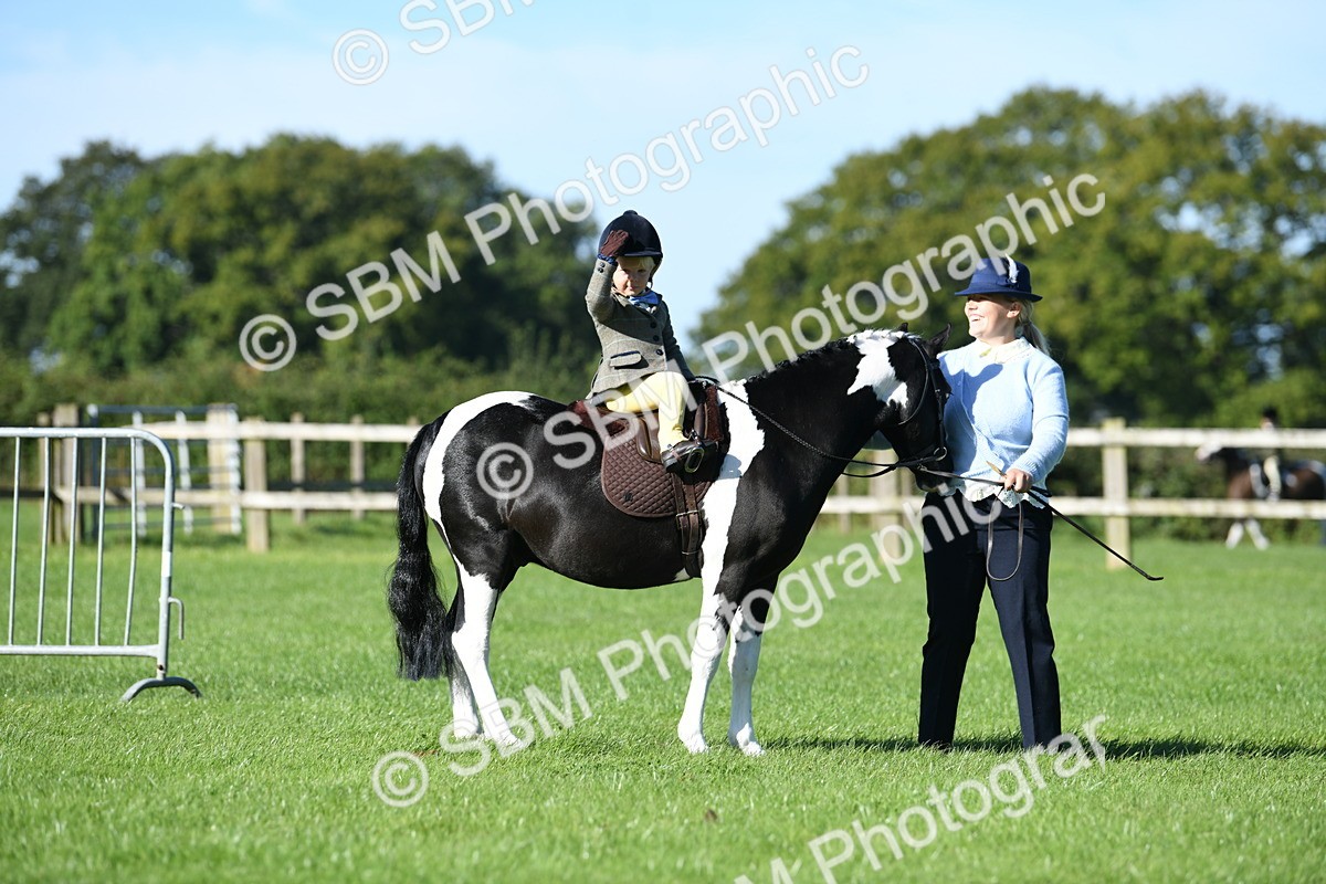 SBM_36813 - S18 - Novice & Newcomers Lead Rein Pony
