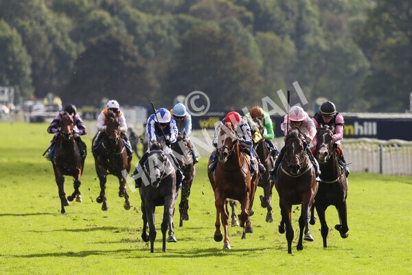 yr24092021r4-14 - Race 4 3.15pm William Hill Play Responsibly British EBF Restricted Novice Stakes