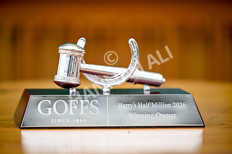 200826-Race 2-Sun Goddess-3192 - Race 2 14.25pm Harry's Half Million By Goffs