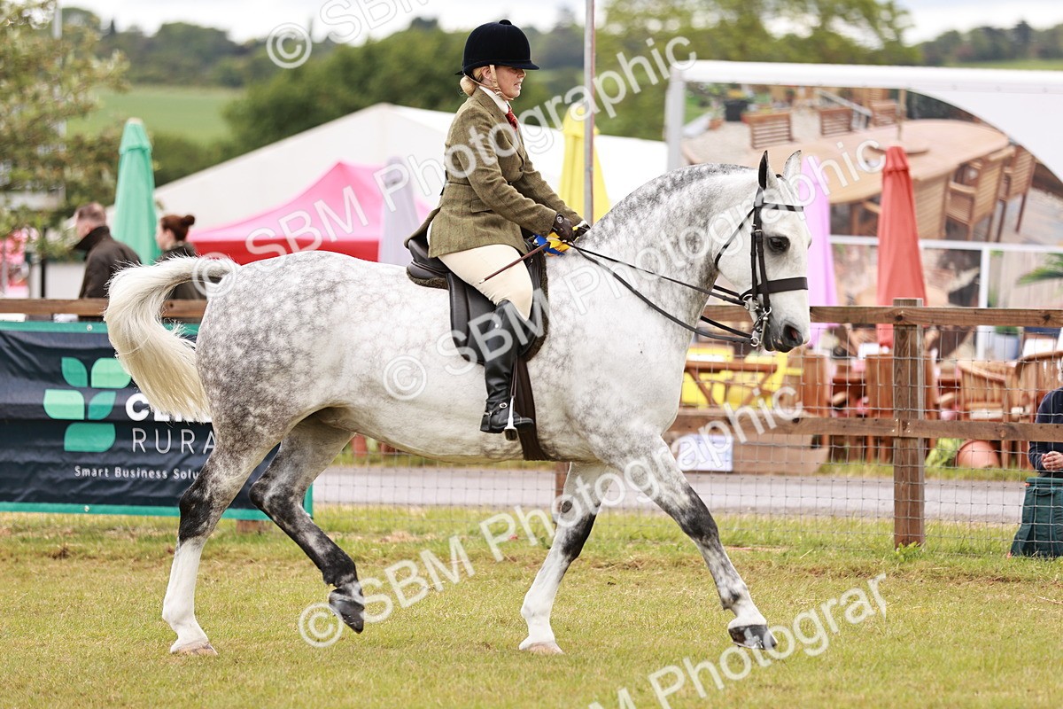 SBM_13062 - Class 85-87 - RIHS Cobs