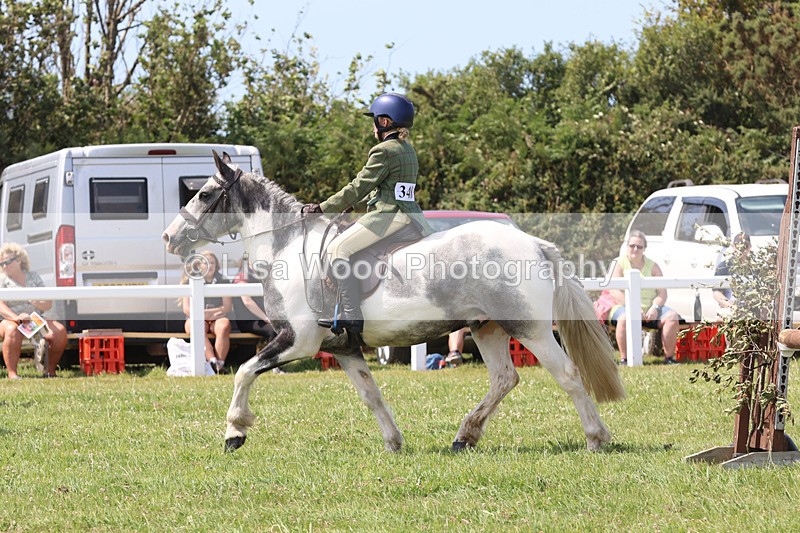 JPP_3384 - Class 22: Working Hunter 70cm