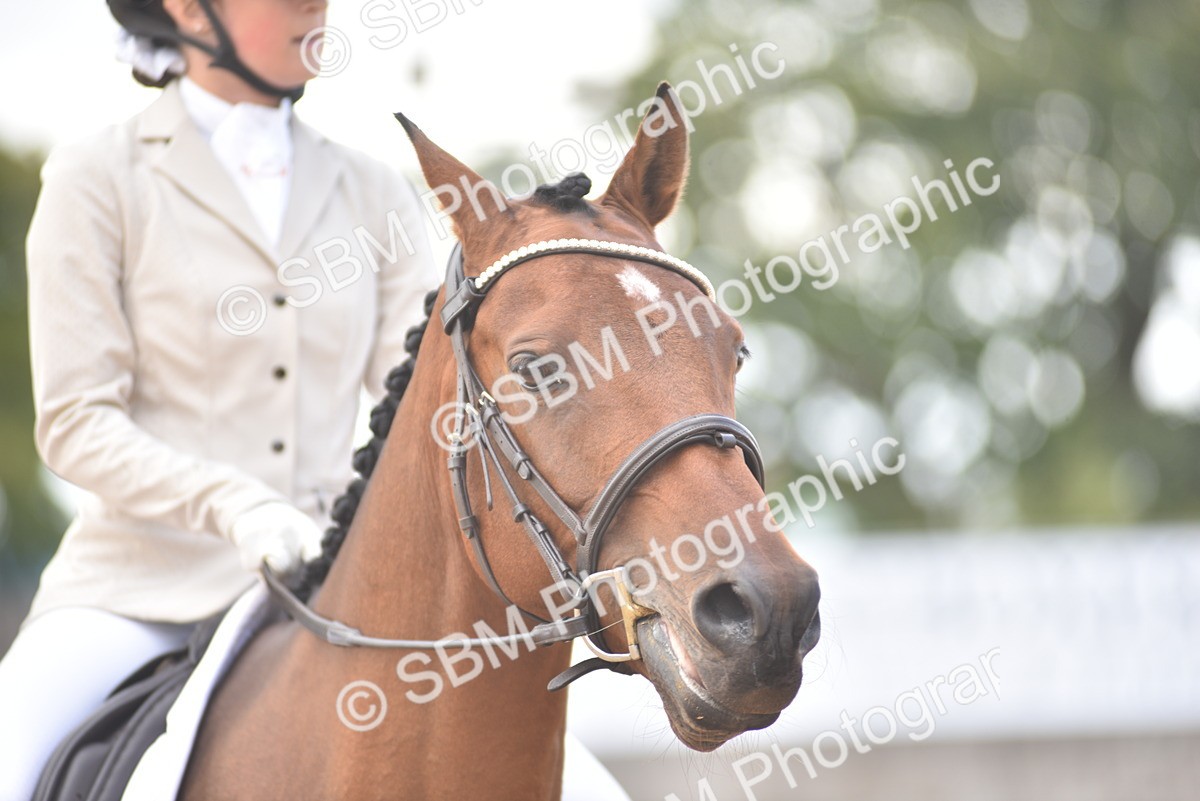 SBM_22296 - D13 - Grand Tour Championship Prelim 3