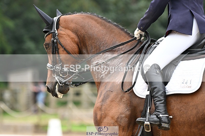 240811-120042-05666 - 241-Kathryn.Little-Quietly.Does.It