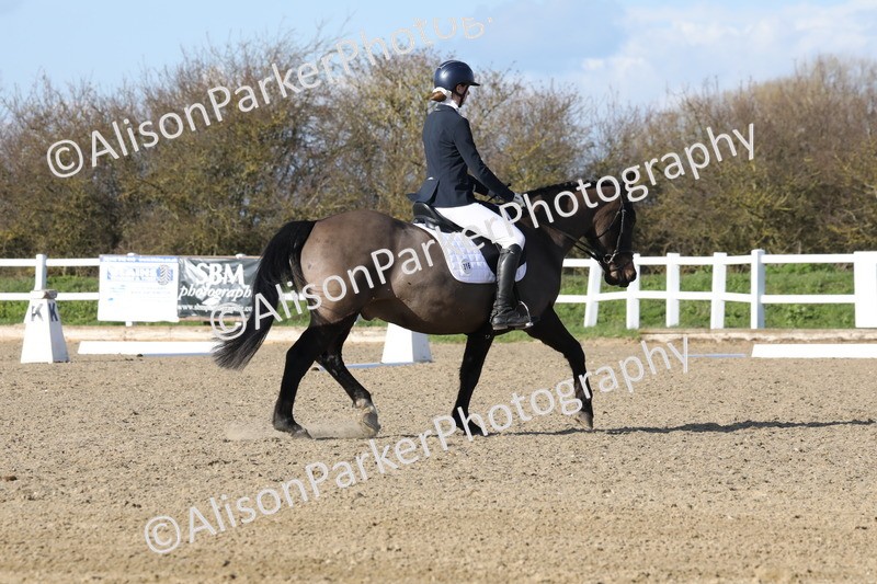 20260314-5140 - CT6 - Elementary 1