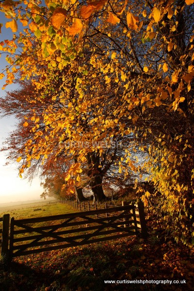 149 - SCOTTISH BORDERS