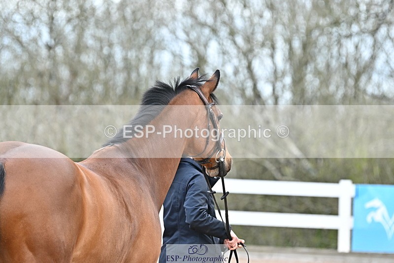 240417A-112822-00016 - 11am to 12pm