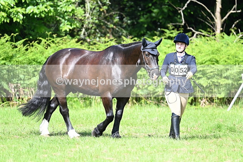 WJ7_1123 - Class 11 Condition & Turnout