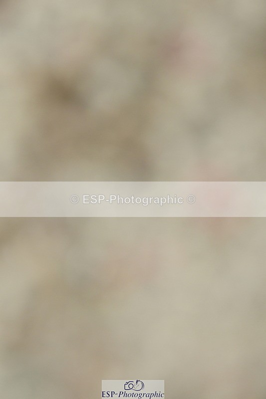 230701A-092939-04124 - Cls 6 Music Novice