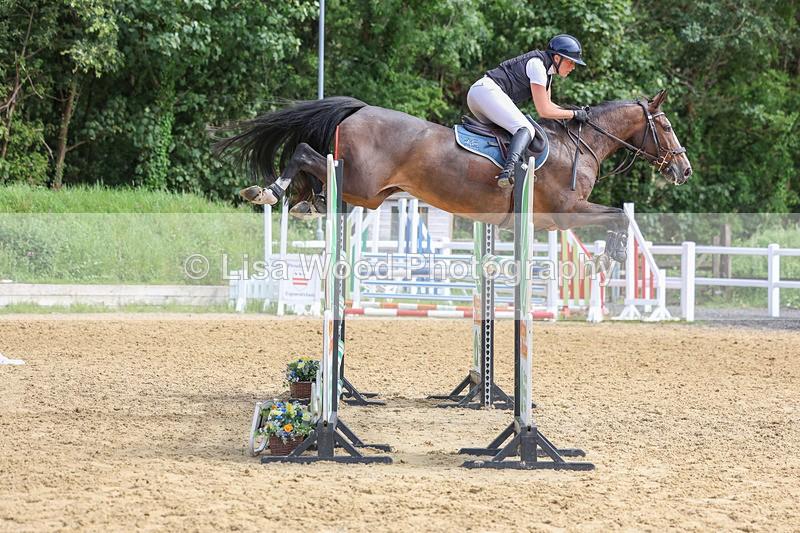 3E7A7608 - Class 9: Senior Foxhunter/1.20 open