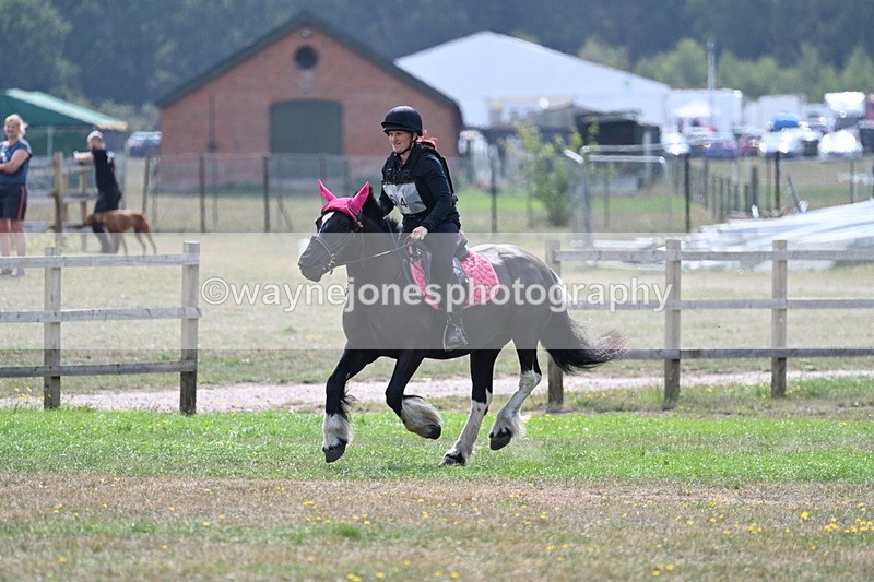 WJ7_1828 - XC Time 11:54 to 12:03