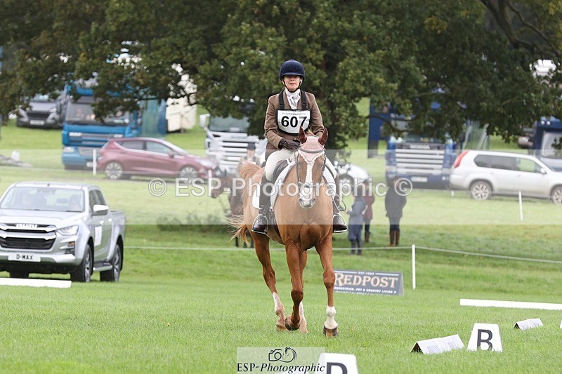 231019-105243-02473 - 607-RICO.III-Alison.Stewart-DR