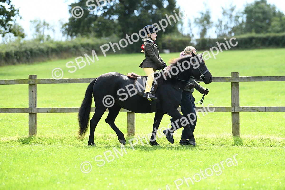 SBM_42543 - S20 - Lead Rein Mountain & Moorland Pony