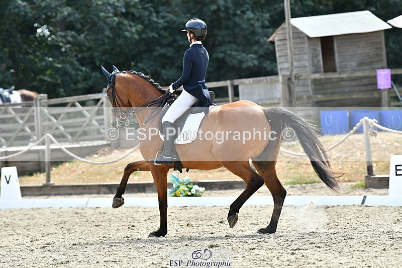 260802A-153050-07438 - Intermediate Bronze