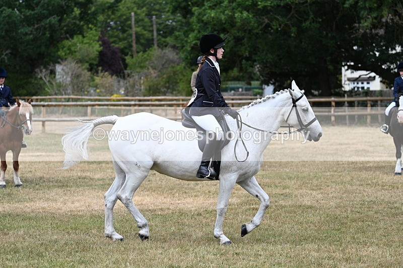 WJ7_0593 - Class 2 Best rider