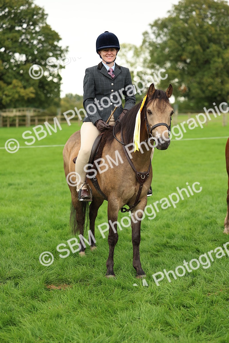SBM_41891 - S32 - Mountain & Moorland Working Hunter Pony