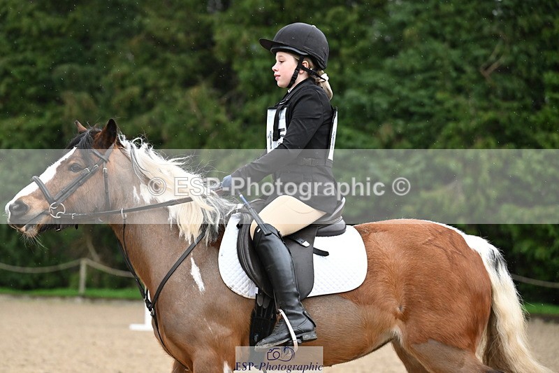 260222A-094918-00239 - 40cm Lead Rein and Assisted