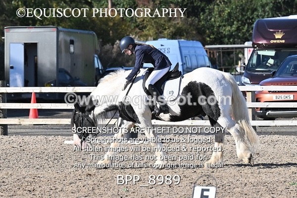 BPP_8989 - SHORT ARENA