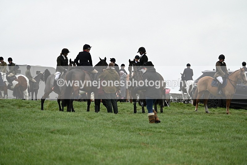 WJ7_8779 - Meet Staff & Hounds
