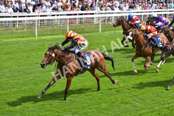 yr08072022r2-30 - Race 2 2.40pm William Hill Summer Stakes