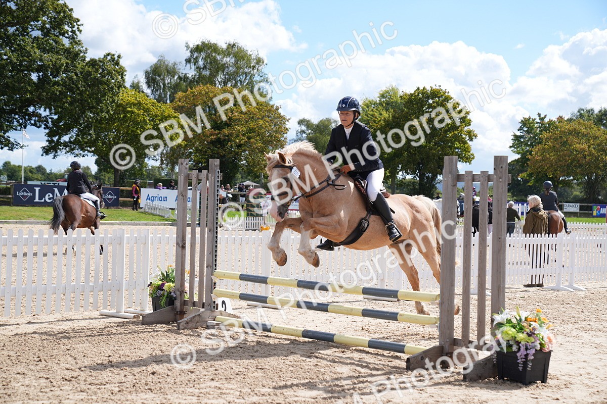 SBM_05125 - J35 Veteran 60cm Championship