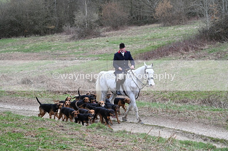 WJ7_7309 - Walk Home